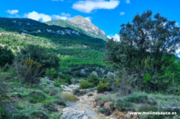Asociación de Propietarios Forestales de Andalucía Oriental para el Desarrollo Sostenible y Conservación de la Biodiversidad